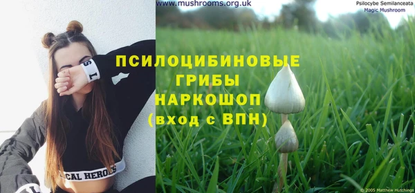а пвп мука Абдулино