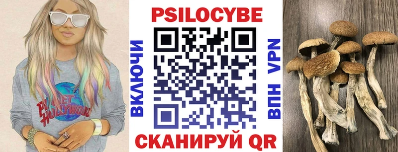 KRAKEN как войти  Оханск  Псилоцибиновые грибы Magic Shrooms 